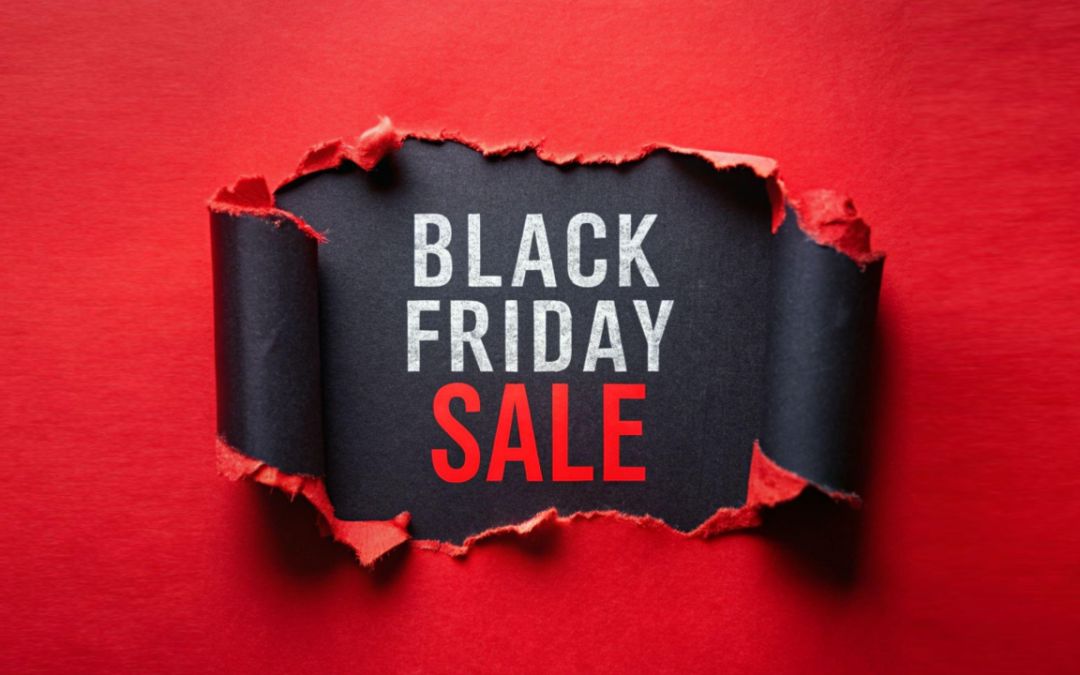 Report Creator & Black Friday 2024