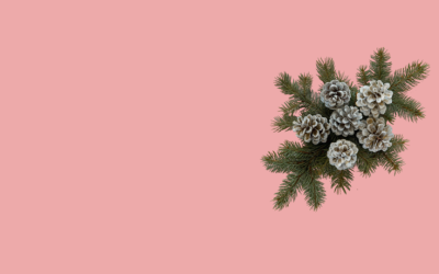 Influencer e sponsored post Ig e video TikTok e YouTube: i dati di dicembre 2025