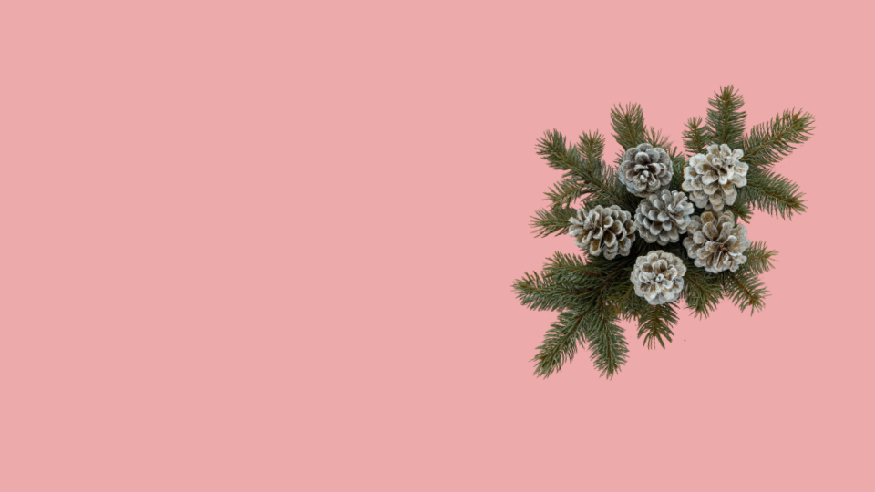 Influencer e sponsored post Ig e video TikTok e YouTube: i dati di dicembre 2025