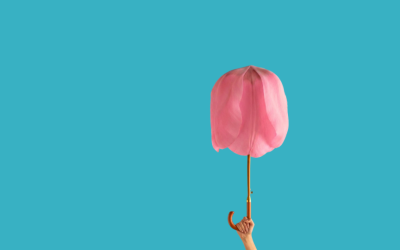Influencer e sponsored post Ig e video TikTok e YouTube: i dati di febbraio 2026