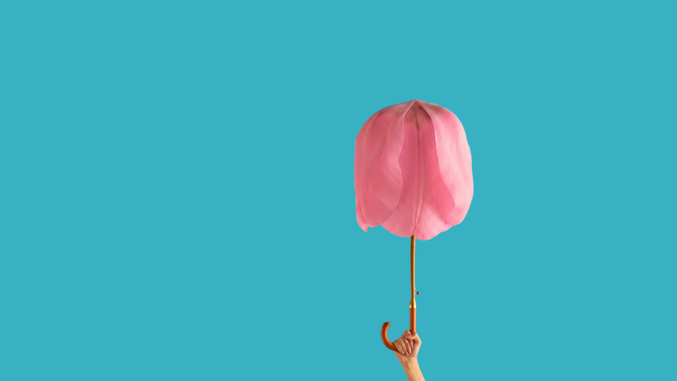 Influencer e sponsored post Ig e video TikTok e YouTube: i dati di febbraio 2026
